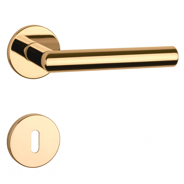 Aprile Door handle with Escutcheon - Gold - Model Arabis