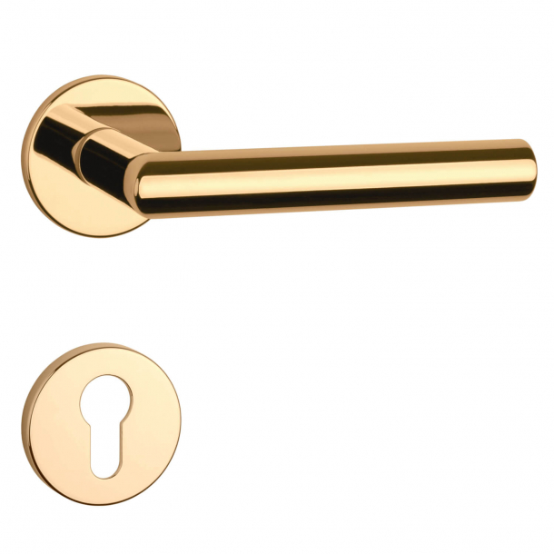 Aprile Door handle with euro profile cylinder ring - Gold - Model Arabis