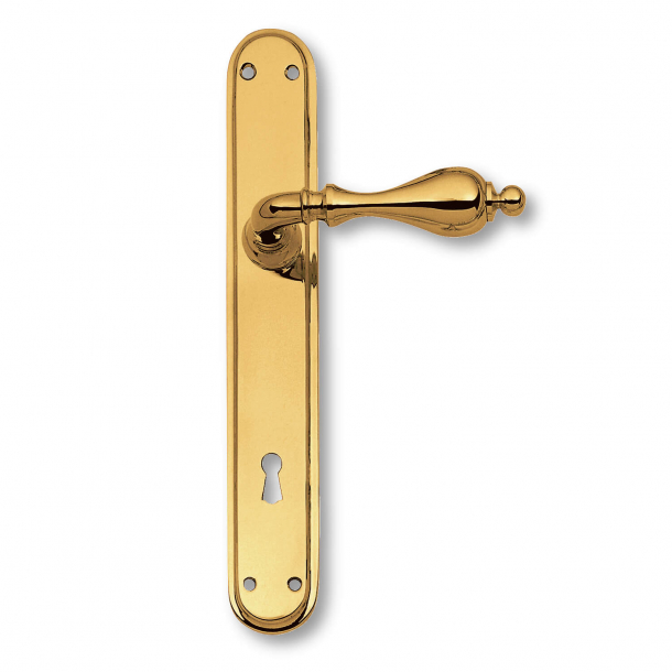 Door handle interior - Brass, Back plate - Colonial style - model C14010
