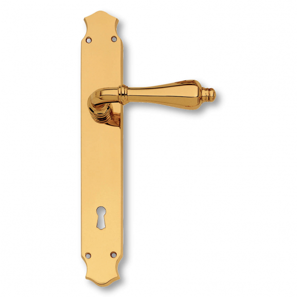 Door handle interior, Brass, Back plate - XX Century - model C09910