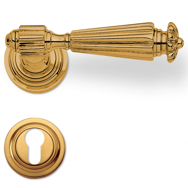 Door handle exterior, Brass, rosette / Euro profile cylinder ring, Model NIKY
