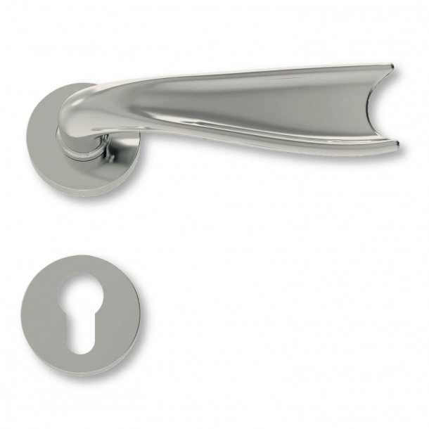 Door handle exterior gloss, rosette and cylinder ring, Model C04411