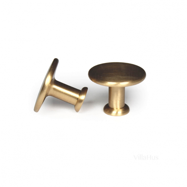 Furniture knob 101 - Brushed brass - 25 mm