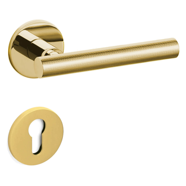 Olivari Door handle with europrofile escutcheon - Bright gold - Model ATENA LIGNE