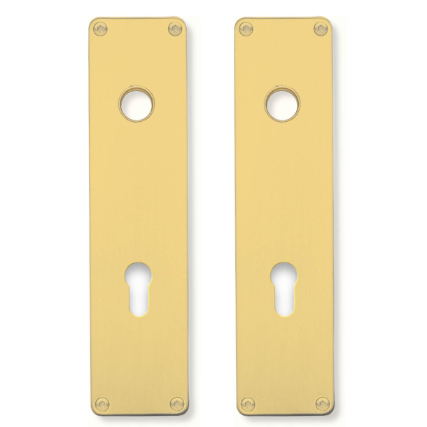 Backplates with europrofile keyhole - Unlacquered brass - Model 1201 - 215x55x2 mm