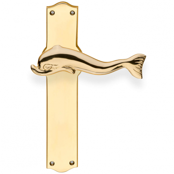 Door handle and backplate - Brass - Interior - DOLPHIN 116 mm
