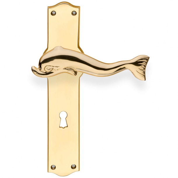 Door handle and Back plate with keyhole - Brass Model DOLPHIN 116 mm