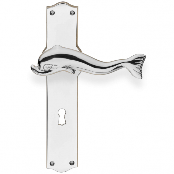 Door handle and Back plate with keyhole - Nickel -  Model DOLPHIN 116 mm