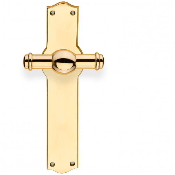 Door handle on back plate - Brass without lacquer - Model HAGMAN
