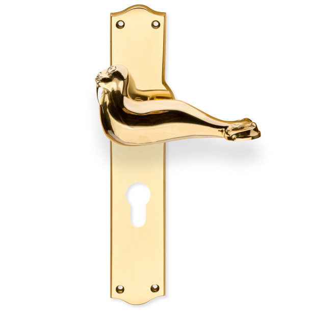 Door handle on Back plate - Brass - Walrus - cc72mm