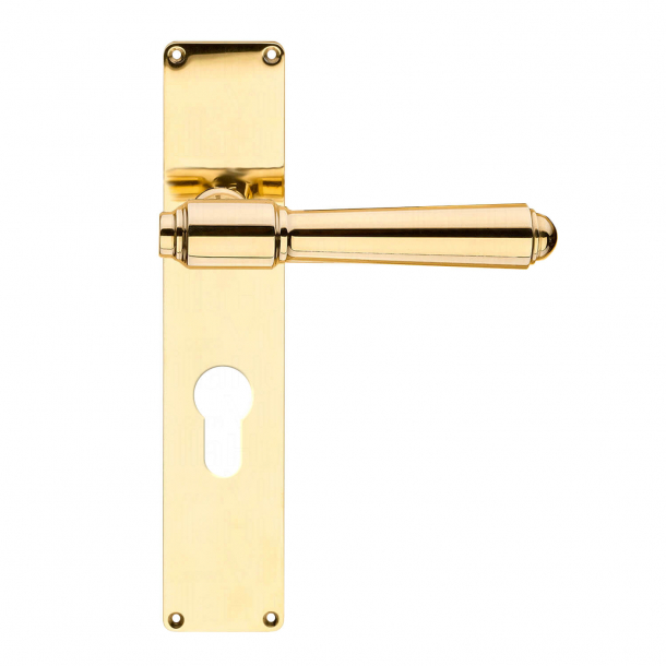 Door handle - Exterior - Brass - BRIGGS 127 mm - Backplate with Euro profile cylinder hole - cc72mm