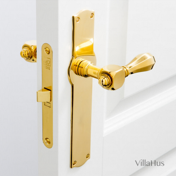Door handle - Exterior - Brass - Back plate without keyhole - Model MEDICI