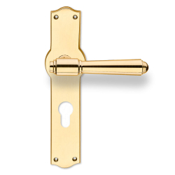 Door handle on Back plate - Exterior - Brass - Europrofile - Model BRIGGS 127 mm - cc72mm