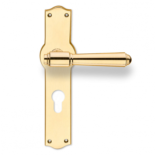 Door handle on Back plate - Exterior - Brass - Europrofile - Model BRIGGS 127 mm - cc92mm