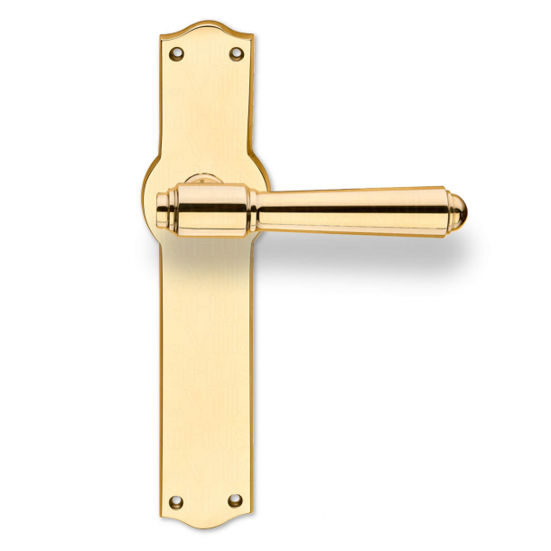 Door handle on Back plate - Exterior - Brass - Model BRIGGS 127 mm
