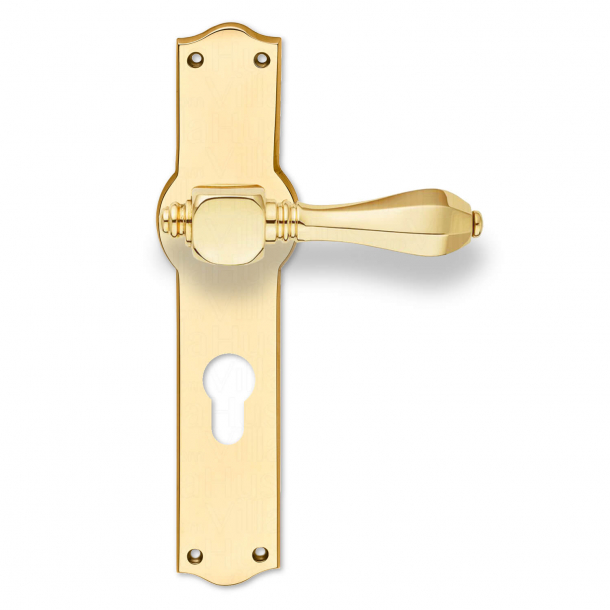 Door handle - Exterior - Brass - Backplate with Euro Profile - cc92mm - MEDICI