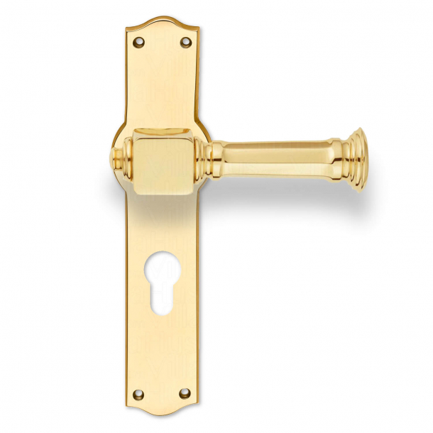 Door handle - Exterior - Brass - Back plate Euro profile - cc92mm - Model NEUMAN 135 mm