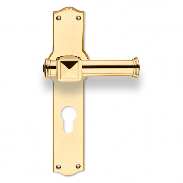 Door handle - Exterior - Backplate with Europrofile cylinderhole cc72mm - Model ULLMAN 123