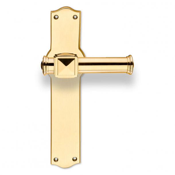 Door handle - Exterior - Brass - Backplate - Model ULLMAN 123