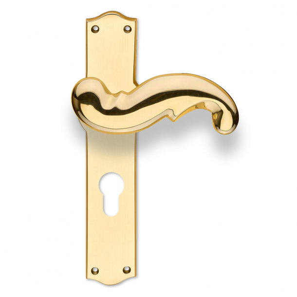 Door handle - Exterior - Brass - Back plate Europrofile cylinder - cc72mm - Model WEINGARTEN 127 mm