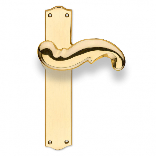 Door handle - Exterior - Brass - Back plate without keyhole - Model WEINGARDEN 127 mm