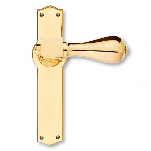 Door handle - Brass - AMBRUS w. plain back plate