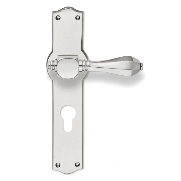 Door handle - Exterior - Backplate with Europrofile - cc72 mm - Nickel - Medici