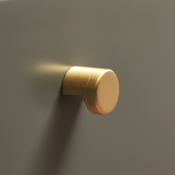 Gałka meblowa - Furnipart - Szczotkowane złoto - Model Point