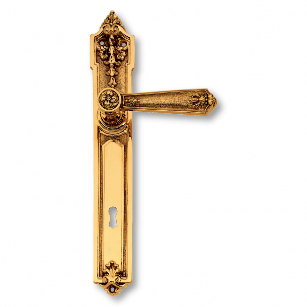 Klamka do drzwi - Imperial Gold - Szyld d&#322;ugi - C08710