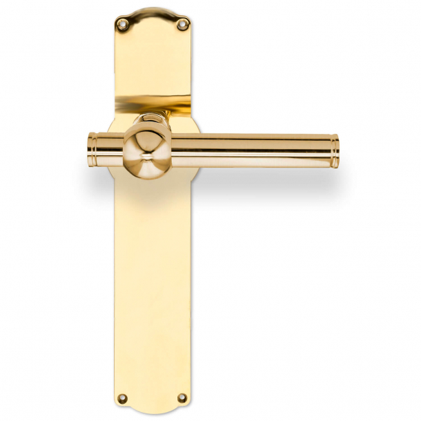 Door handle on backplate - Brass without lacquer - SKODSBORG 18 mm