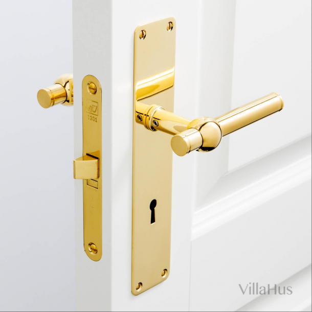 Door handle on backplate - Brass without lacquer - Model SKODSBORG ø16 mm