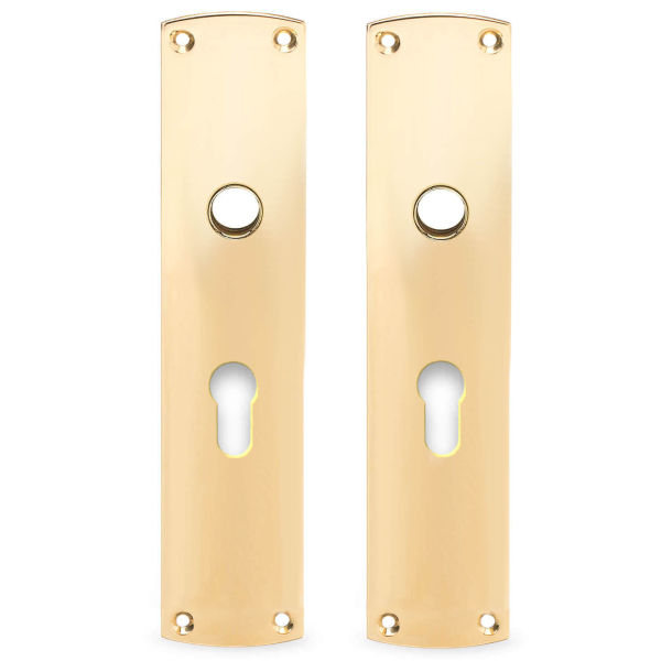 Backplate with Euro profile - cc72mm - Brass without lacquer - 16 - 165 x 45 x 2 mm