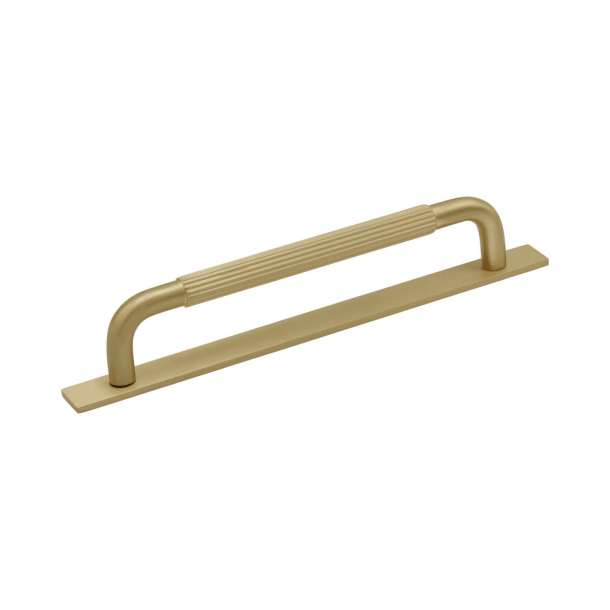Beslag Design Cabinet Handle With, Brass Cabinet Handles With Backplates