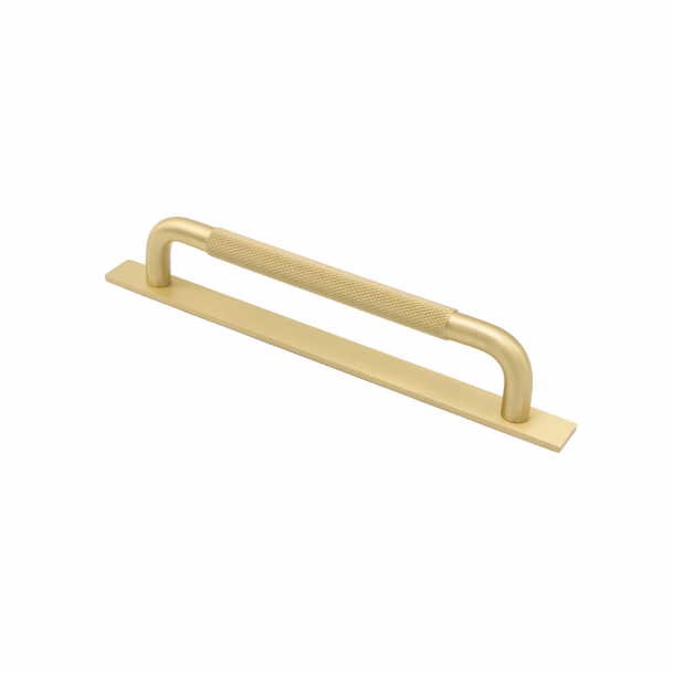 Cabinet handle - Brass - HELIX with back plate - cc 160 mm