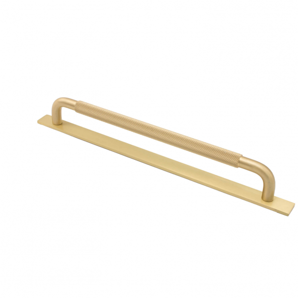 Furniture handle - Brass - HELIX with back plate - cc 224 mm