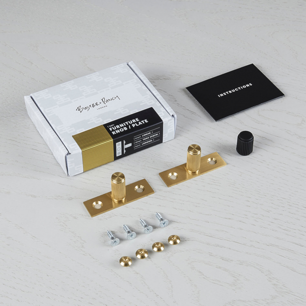 Buster + Punch - LINEAR Plate - Furniture knobs (2 pcs) - Brass - 12 x 25 mm