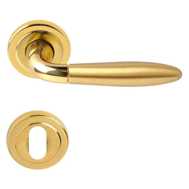 Door handle, Polished/Satin Brass, Interior - Model FUTURA
