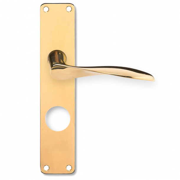 Arne Jacobsen dörrhandtag - AJ dörrhandtag - RUKO Långskyltar - cc69mm