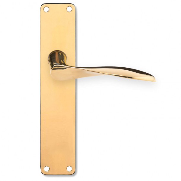 Arne Jacobsen door handle on back plate - Brass - Large model - AJ111