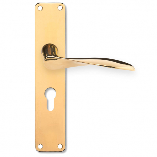 Arne Jacobsen door handle on back plate - Brass - Large model - AJ111 - cc72mm