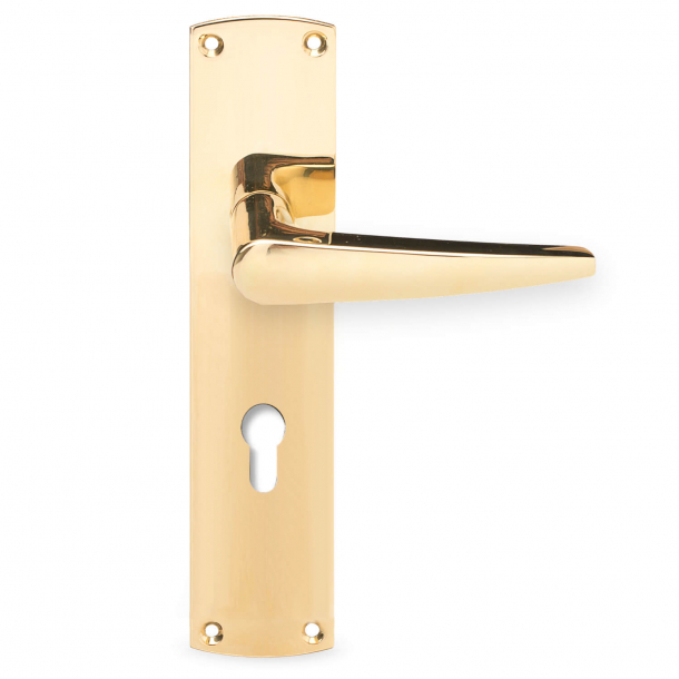 Annelise Bjørner door handle on back plate with Europrofile cylinder hole - Brass without lacquer