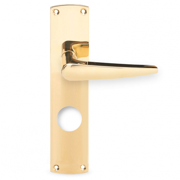 Annelise Bjørner door handle - Brass - Back plate 220 x 45 mm