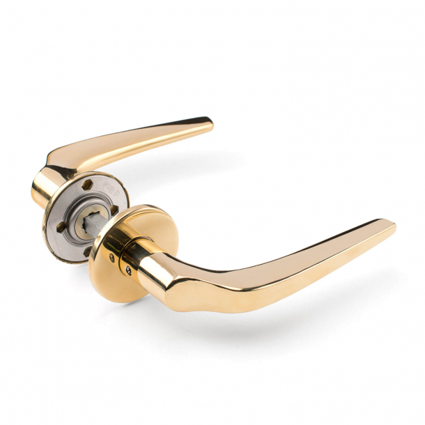 Brass door handle - PLH collection - Snap on cover cc30/38mm