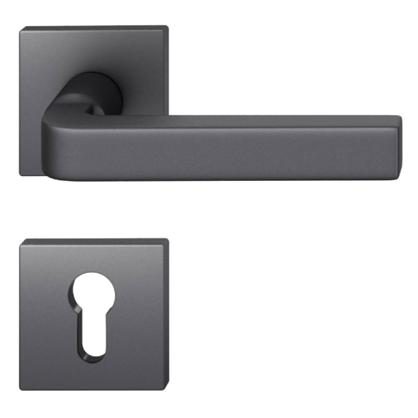 FSB Door handle with europrofile escutcheon - Black aluminum - David Chipperfield - Model 1004