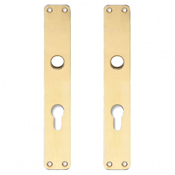 Backplate with Europrofile cylinder hole - cc72mm - Brass without lacquer - Ø16 - 220x35 mm