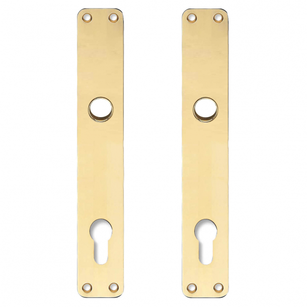 Backplate with Europrofile cylinder hole - cc92mm - Brass without lacquer - Ø16 - 220x35 mm