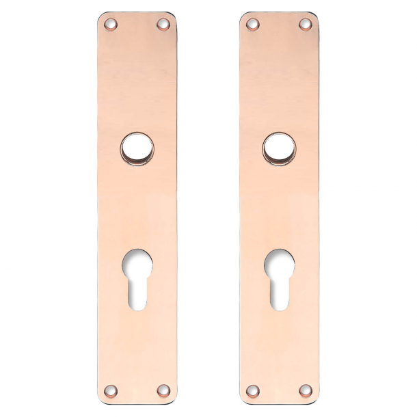 Backplate with Europrofile cylinder hole - cc72mm - Coppe without lacquer - Handle hole ø16 - 220x45