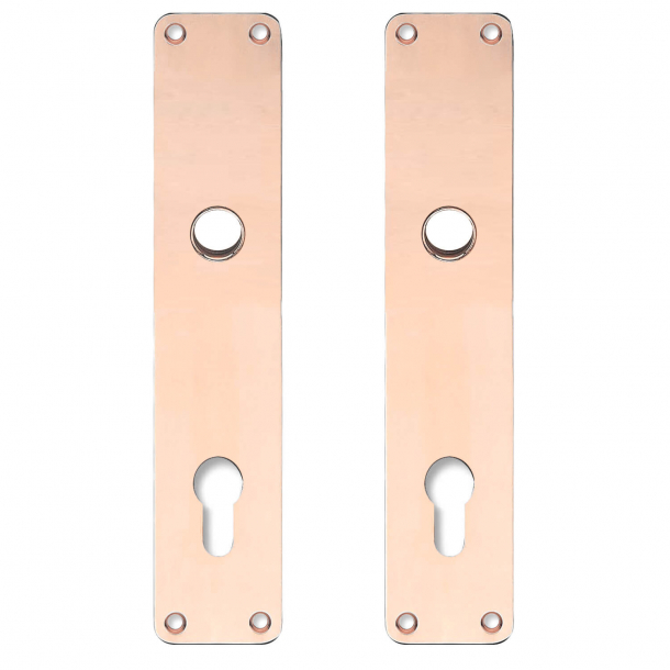 Backplate with Europrofile cylinder hole - cc92mm - Coppe without lacquer - Handle hole ø15 - 220x45