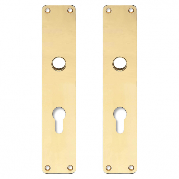 Backplate with Europrofile cylinder hole - cc72mm - Brass without lacquer - Handle hole ø16 - 220x45