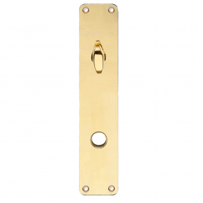 Langskilt med vridergreb - Messing uden lak - Grebshul 16 - ASSA - 220x45x2 mm